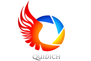 Quidich