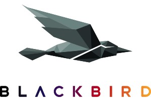 Blackbird