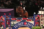 Horse of the year Show