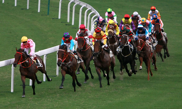 Horse Racing Generic 2 Slider 