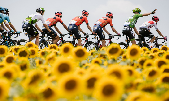 Tour de France: Teamwork, race tactics, and support staff explained