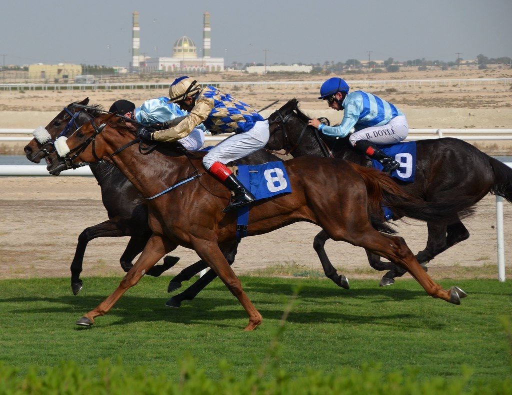 Inaugural Bahrain International horse race to be televised live in 60 countries