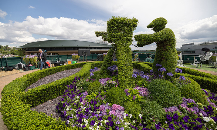 Wimbledon extends BBC partnership until 2024